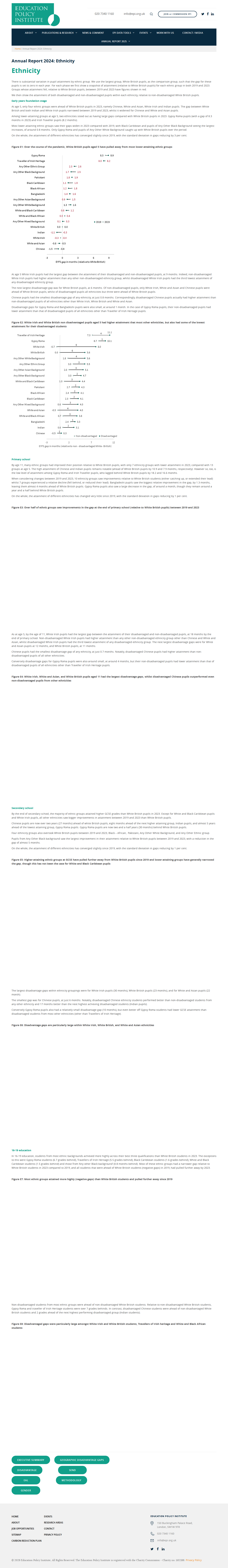 EPI Annual Report 2024 Ethnicity section